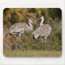 Buscar grúas alfombrillas de raton Fauna