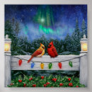 Buscar cardenales rojos posters Invierno