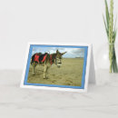 Buscar donkey tarjetas Fotografía