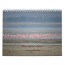 Buscar safari calendarios Fauna