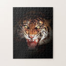 Buscar tigres puzzles Para ella