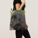 Buscar terranova bolsos Negro