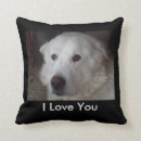 Buscar perro grande cojines Blanco