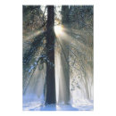 Buscar formato grande fotografía Invierno