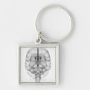 Buscar cerebro humano llaveros Frente