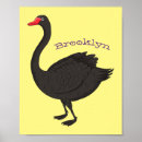 Buscar cisnes posters Para niños