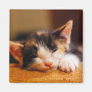 Buscar cocina cerrada imanes Ojos cerrados