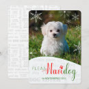 Buscar funny fotograficas tarjetas Perro