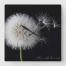 Buscar diente león de relojes de pared Naturaleza