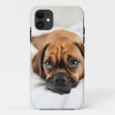 Buscar perrito lindo iphone fundas Fondo