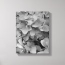 Buscar hydrangeas arte Blanco