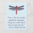 Buscar libélula púrpura postales Cita