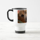 Buscar buen perro tazas Para todos