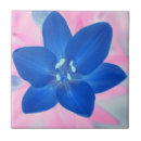 Buscar neon azulejos Rosa