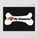 Buscar huesos de perro postales Para mascotas