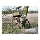 Buscar bicicleta vieja posters General y unisex