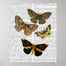 Buscar antiguo posters Hojas de flores