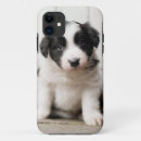 Buscar border collie iphone fundas Perrito