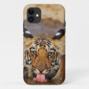 Buscar bengala iphone fundas Animal