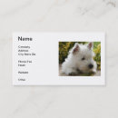 Buscar westie tarjetas de visita Perrito