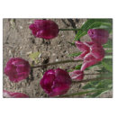 Buscar tulipanes tablas cortar Naturaleza