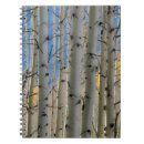 Buscar montañas rocosas cuadernos Árbol