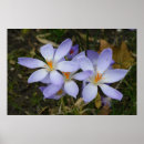 Buscar tóxico posters Planta