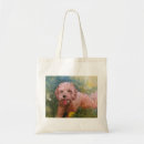Buscar goldendoodle bolsos Labradoodle
