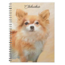 Buscar originales cuadernos Para todos