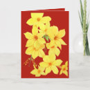 Buscar jasmin tarjetas Flor jazmín