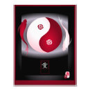 Buscar yinyang posters Japonés