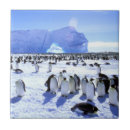 Buscar antartica azulejos Península antártica