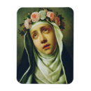 Buscar lima imanes Rosa