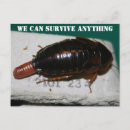 Buscar rogar postales Cucaracha