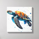Buscar tortuga marina lienzos Tortugas