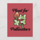 Buscar plant postales Flor