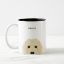Buscar goldendoodle tazas Lindo