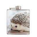 Buscar cute petacas Naturaleza