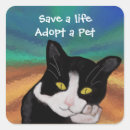 Buscar adopción pegatinas Gato