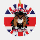 Buscar enchufe casa hogar Británico
