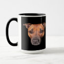 Buscar bull terrier tazas Staffordshire