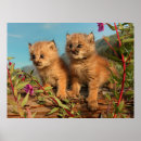 Buscar lynx arte Gatito
