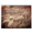 Buscar flores calendarios Madre
