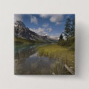 Buscar aves acuáticas chapas Np