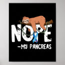 Buscar páncreas posters T1d