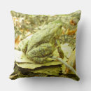 Buscar toad cojines Para todos
