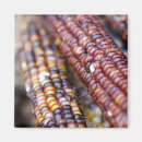 Buscar nutricionista imanes Alimento