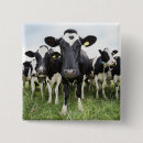 Buscar rural accesorios Naturaleza