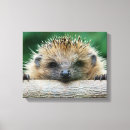 Buscar hedgehog arte Mamífero