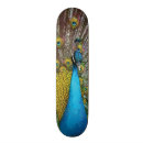 Buscar pavo real tablas de skate Azul